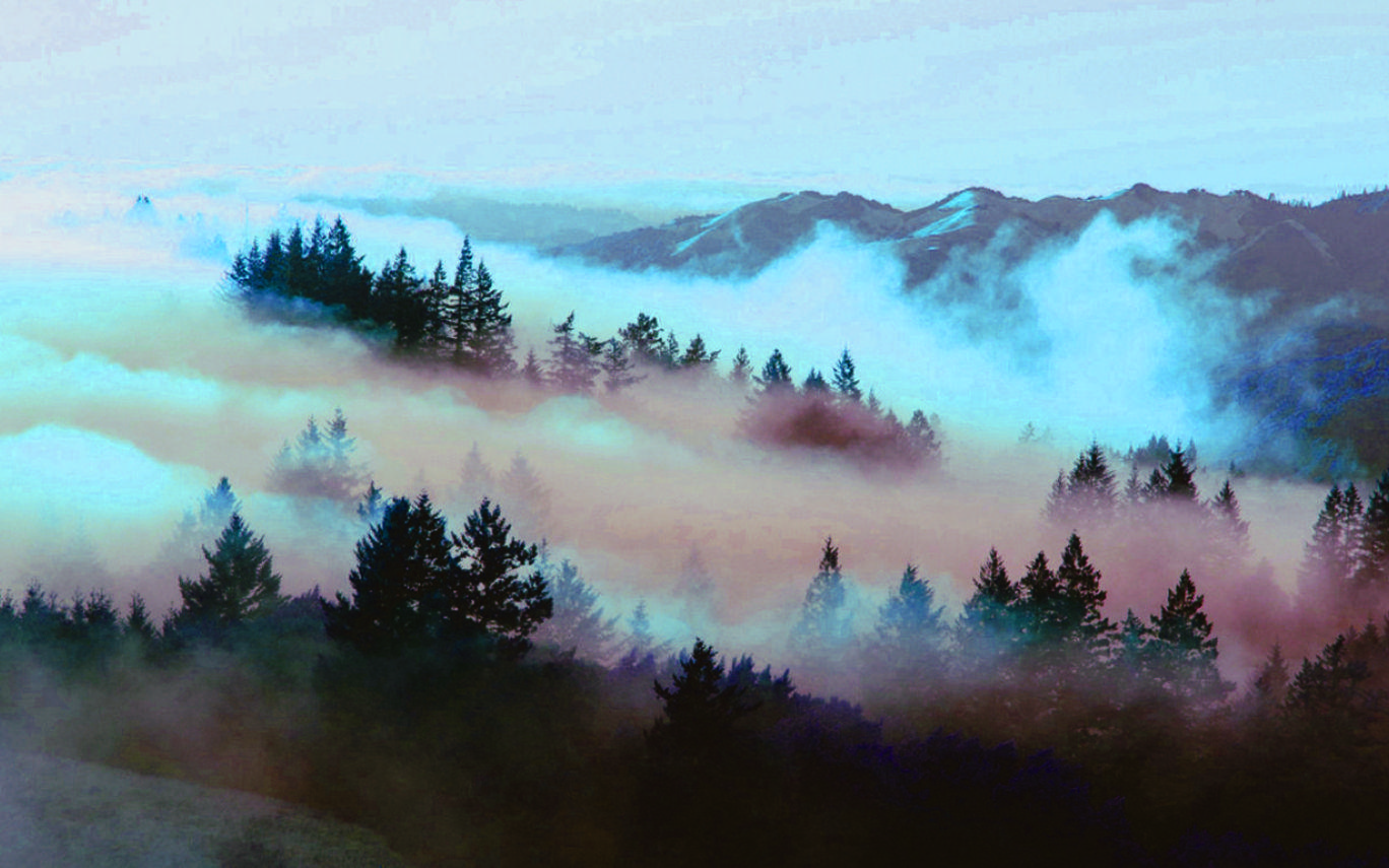 Aesthetic Nature Landscape Wallpapers Wallpaper Cave