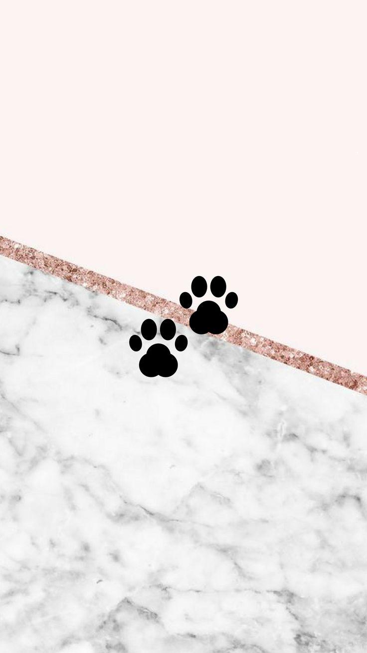 Instagram Highlight Covers Pink Dog