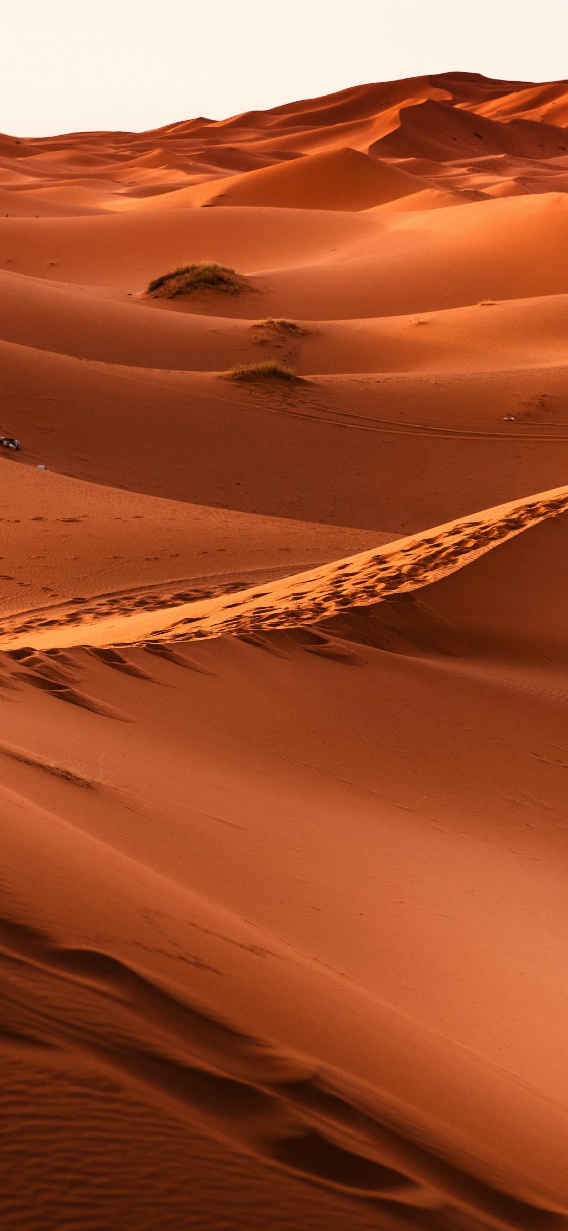 Morocco, Desert, Sand, Dunes, Wallpaper Image Of Desert, HD