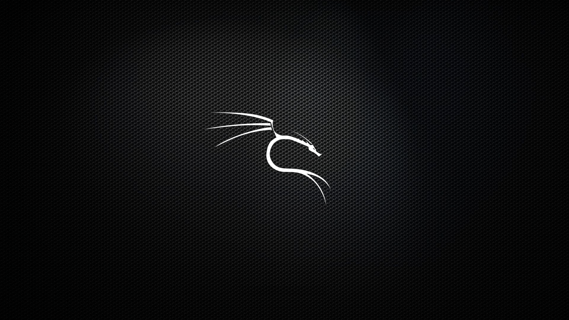 GitHub Kali Linux Wallpaper: A Set Of Dedicated Kali