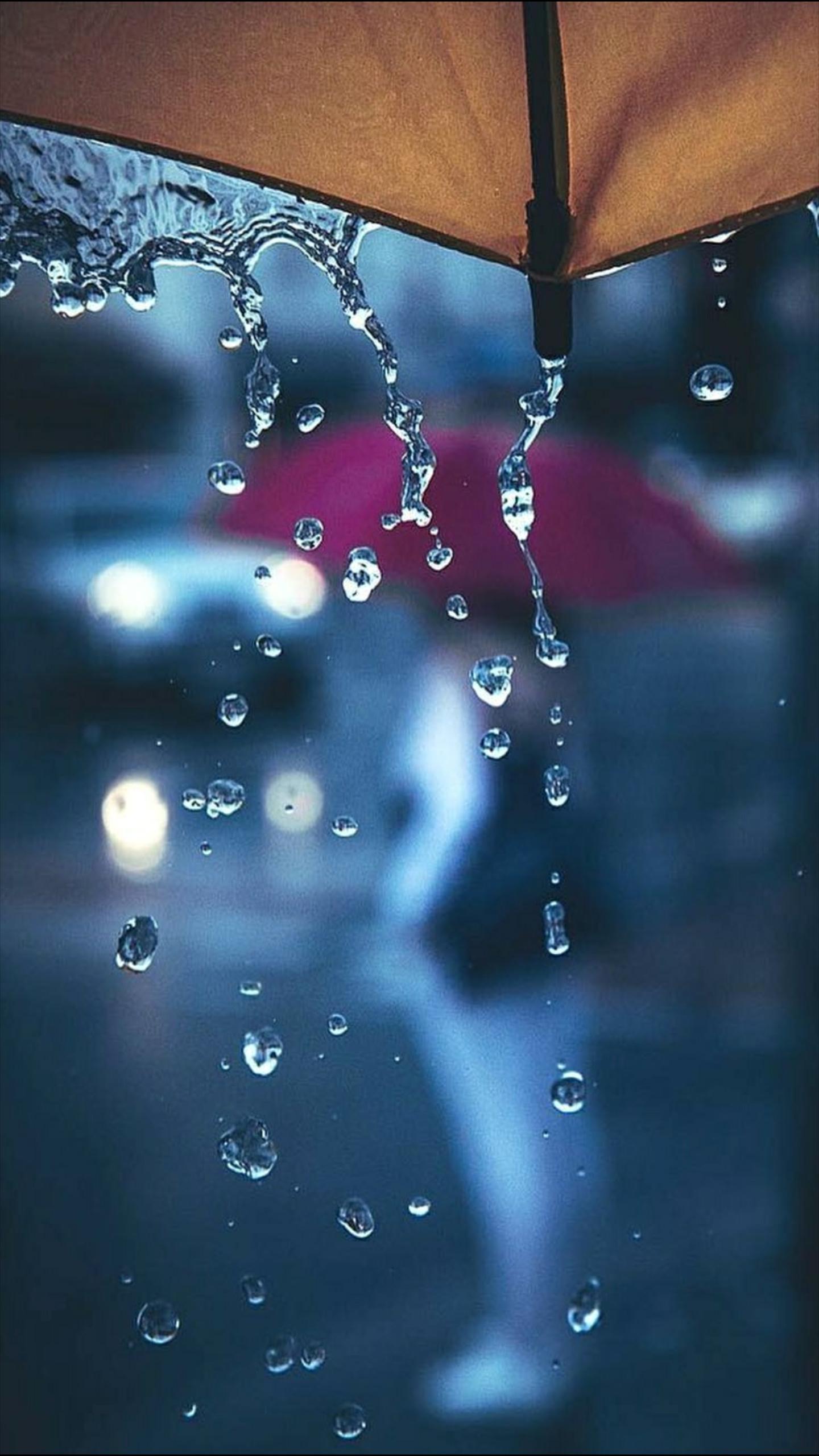 Rainy Day Screen Rain iPhone Wallpaper