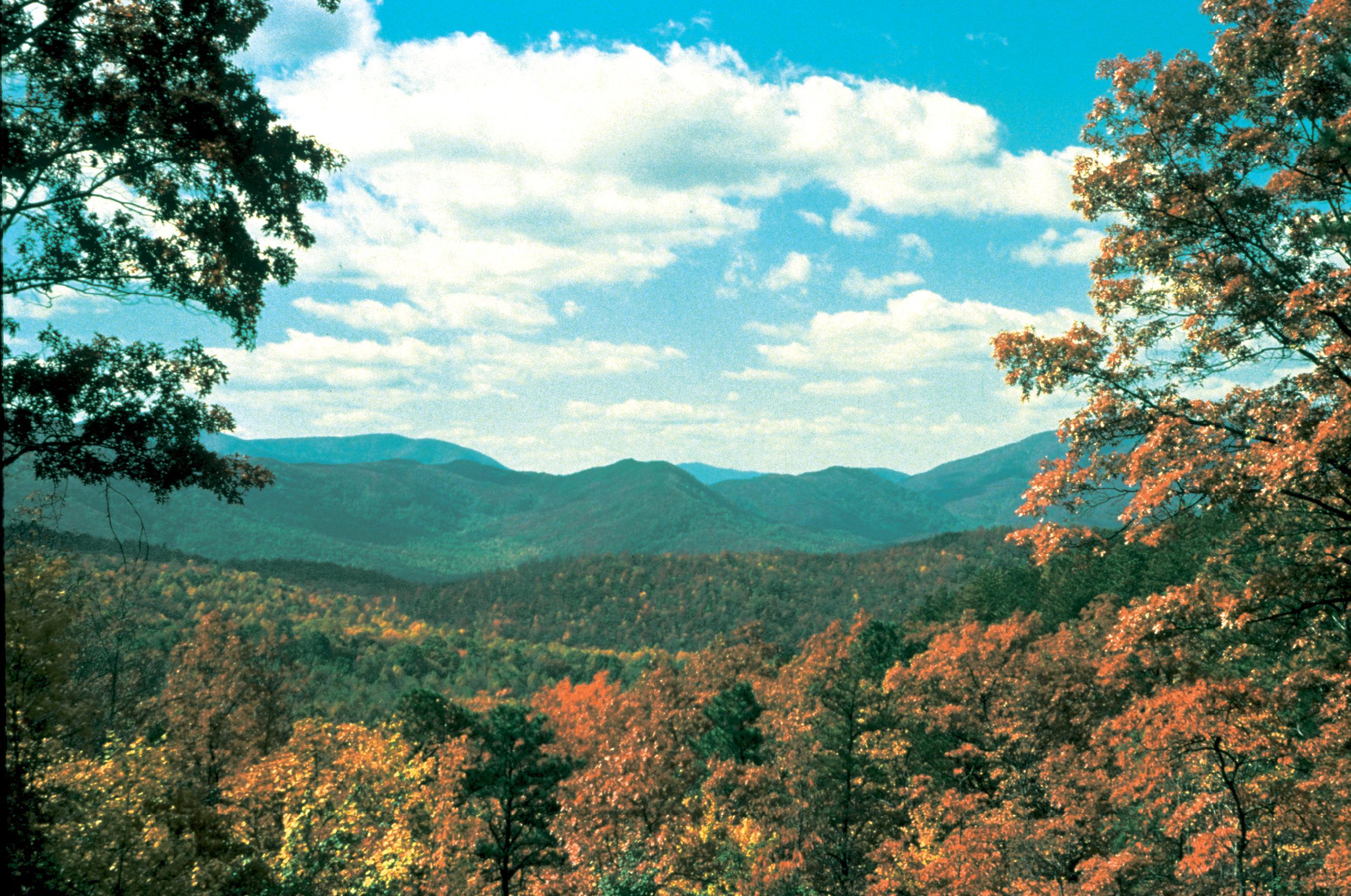 Windows Desktop Wallpaper: Autumn colors from the National Park