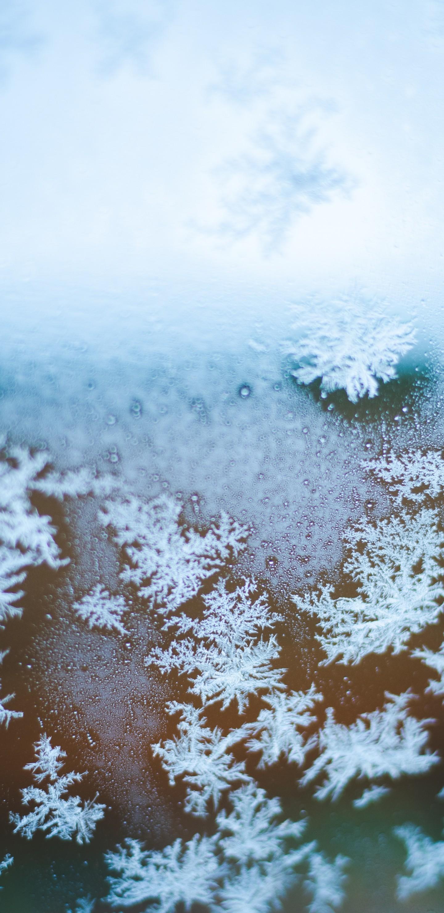 Download 1440x2960 Snowflakes, Macro, Photography, Winter