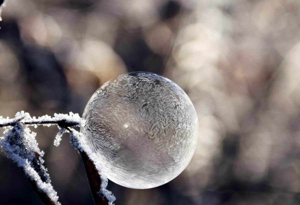 Free picture: macro, detail, frost, nature, ice, winter, snow, sphere