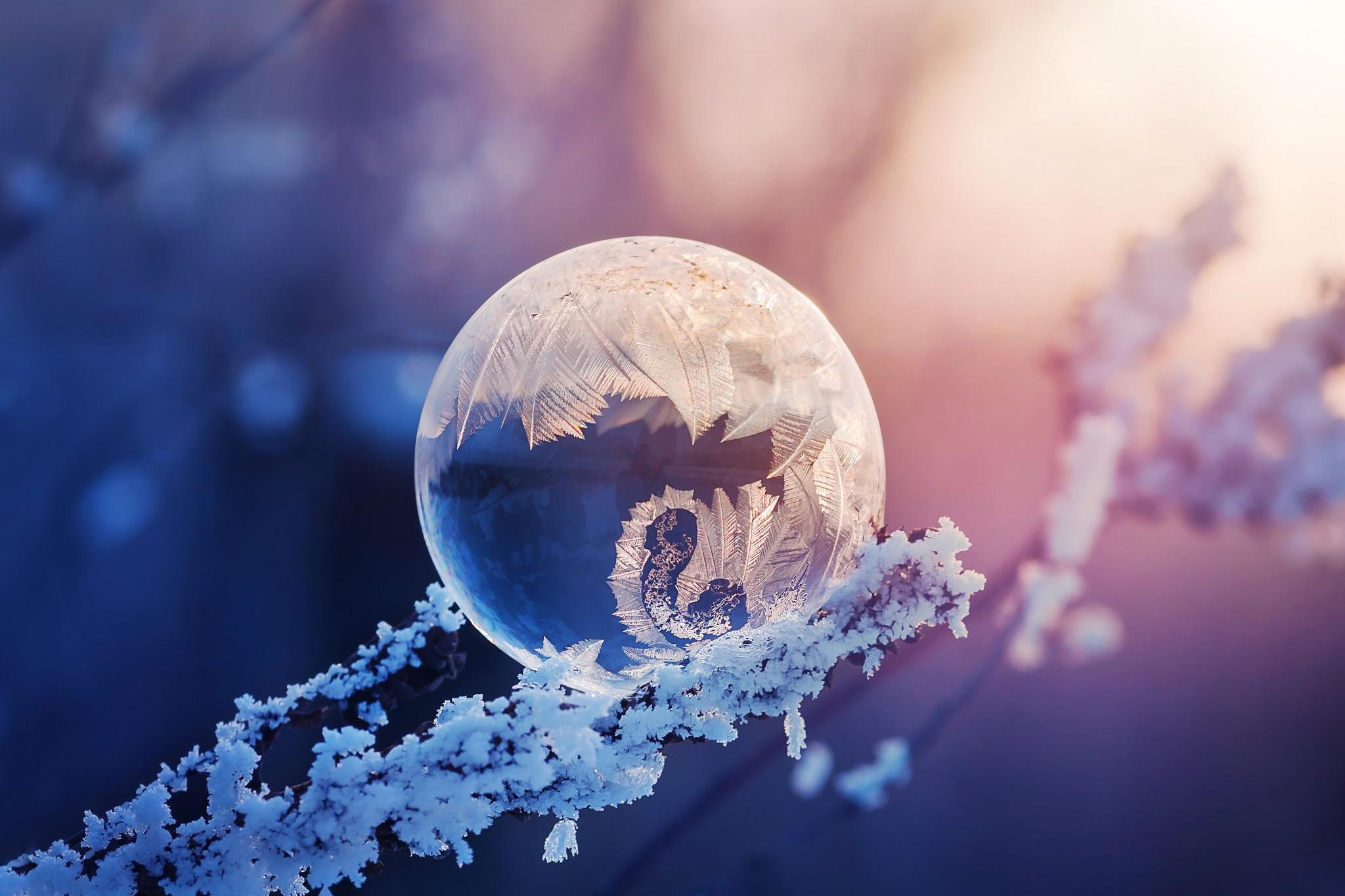 Winter Macro Photography Wallpapers - Wallpaper Cave