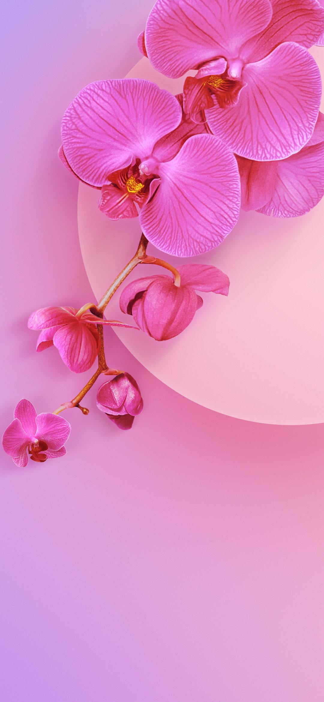 Xiaomi Redmi 7a Wallpaper 6