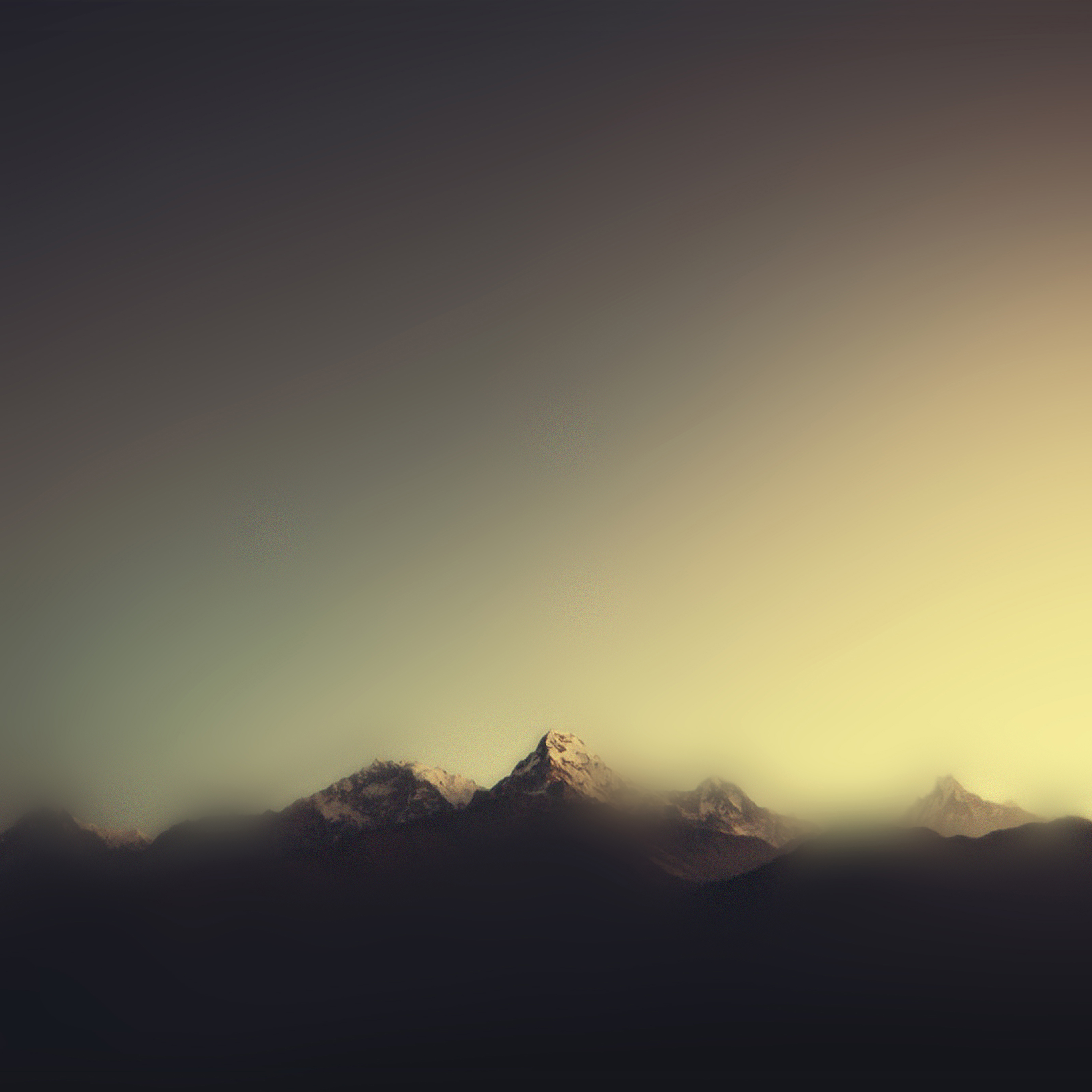 Minimal Portrait Wallpapers Wallpaper Cave