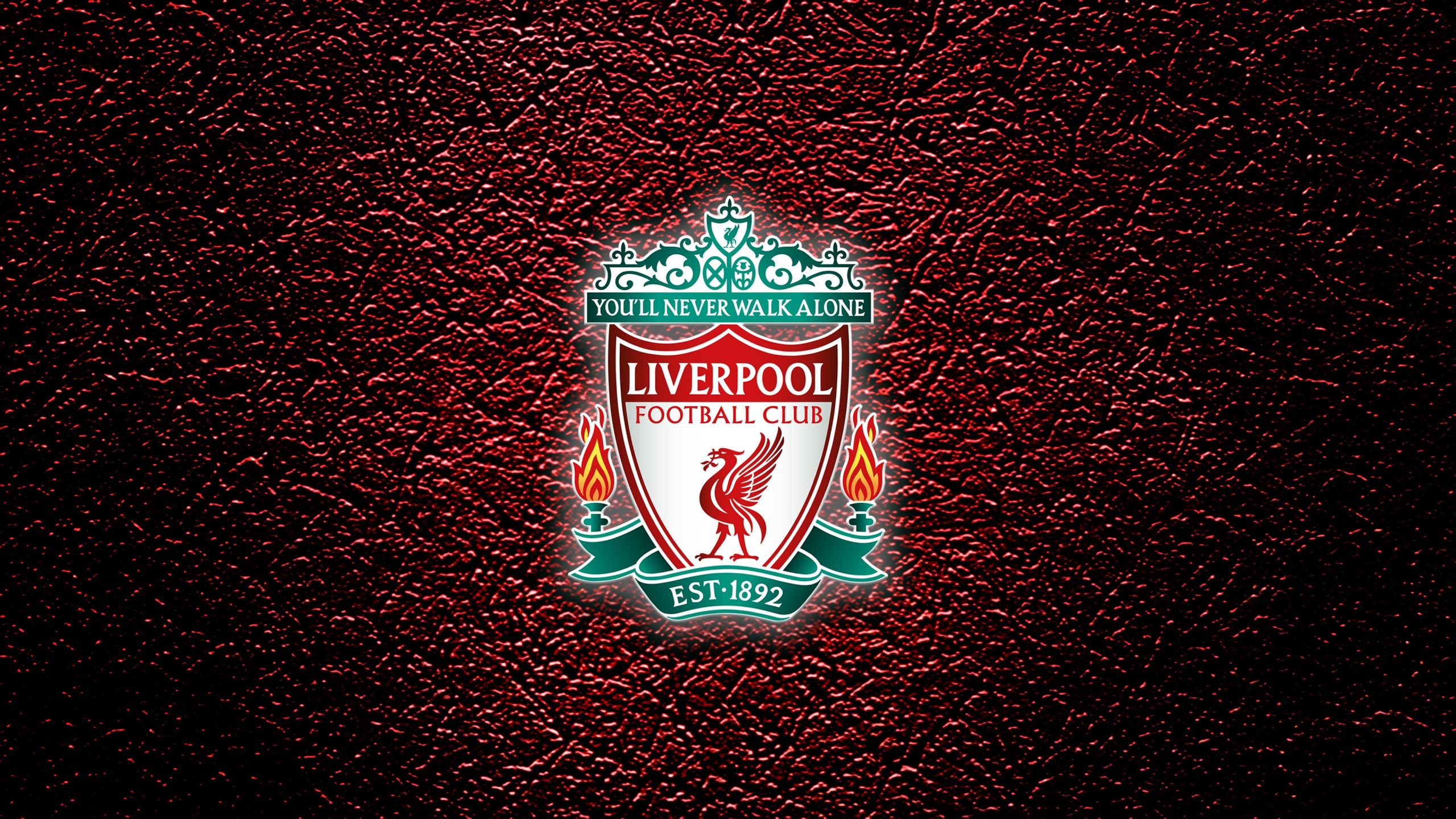 Download wallpaper: Liverpool'll never walk alone 2560x1440