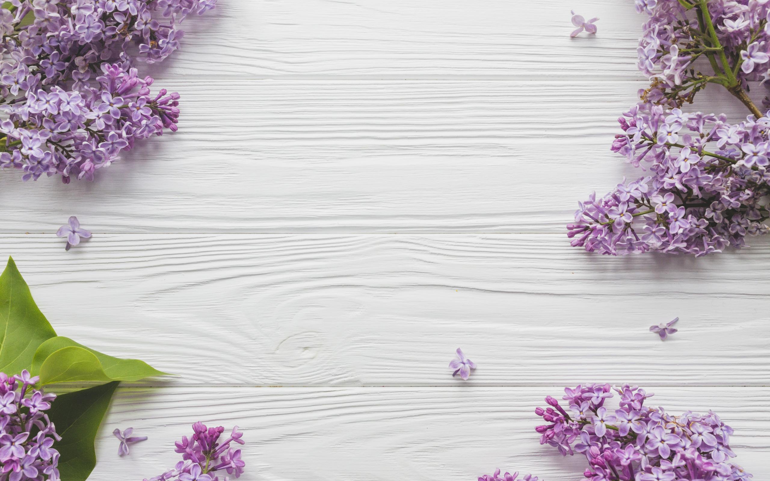 Download wallpaper lilac, light wooden background, spring flowers