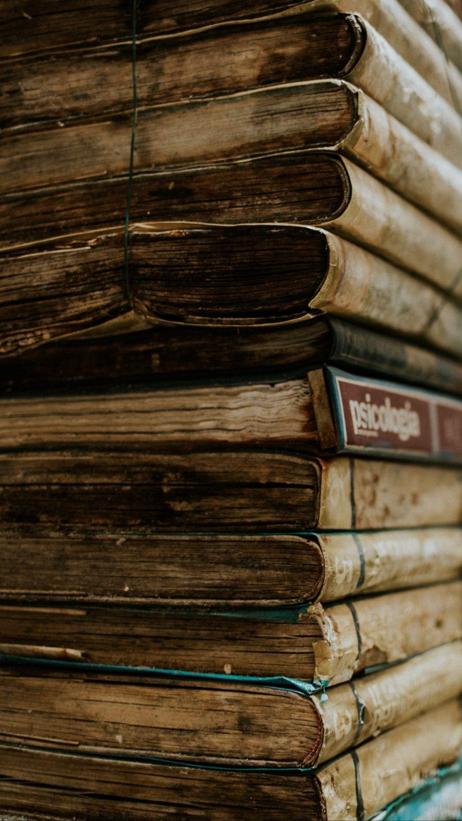 Bookworm Wallpapers  Top Free Bookworm Backgrounds  WallpaperAccess