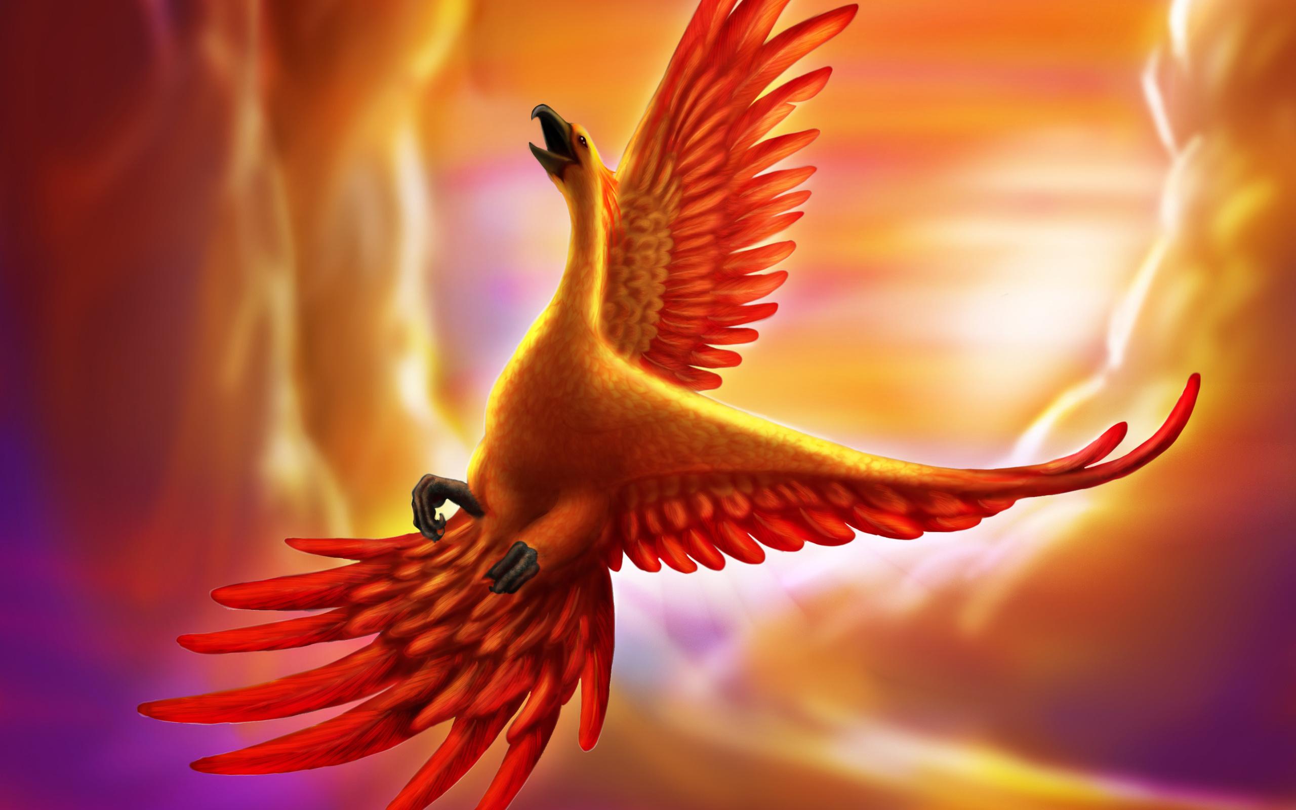 Phoenix Bird Image HD Download Wallpaper