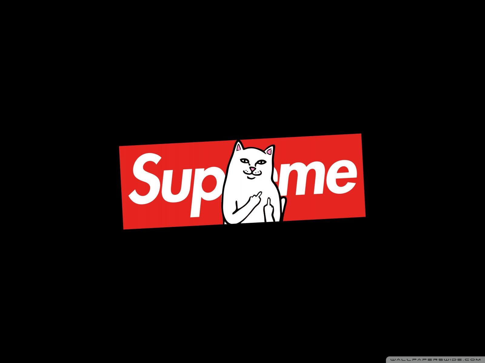 Supreme Cat Wallpapers Wallpaper Cave