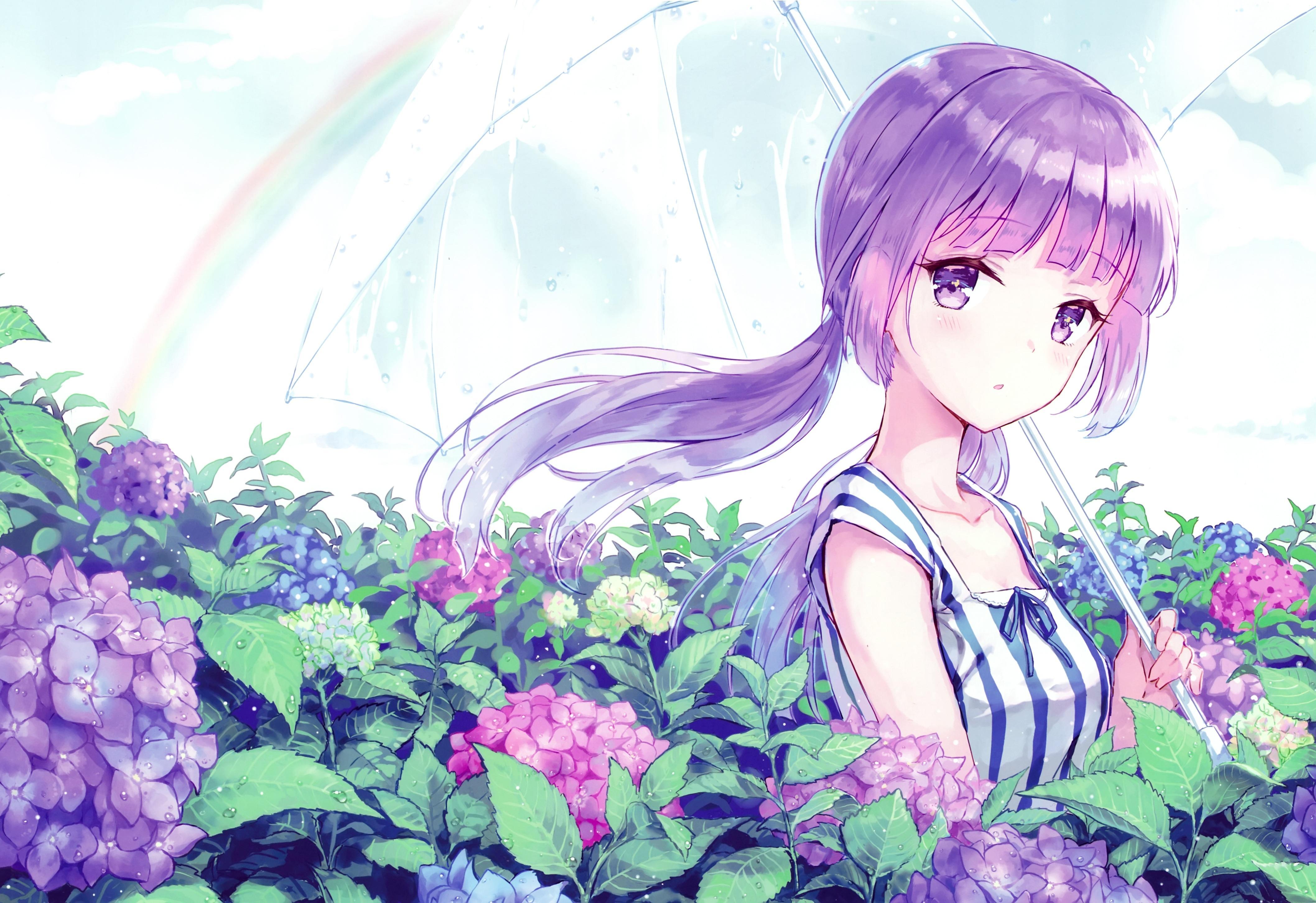 Anime Iris Flower HD Wallpapers - Wallpaper Cave