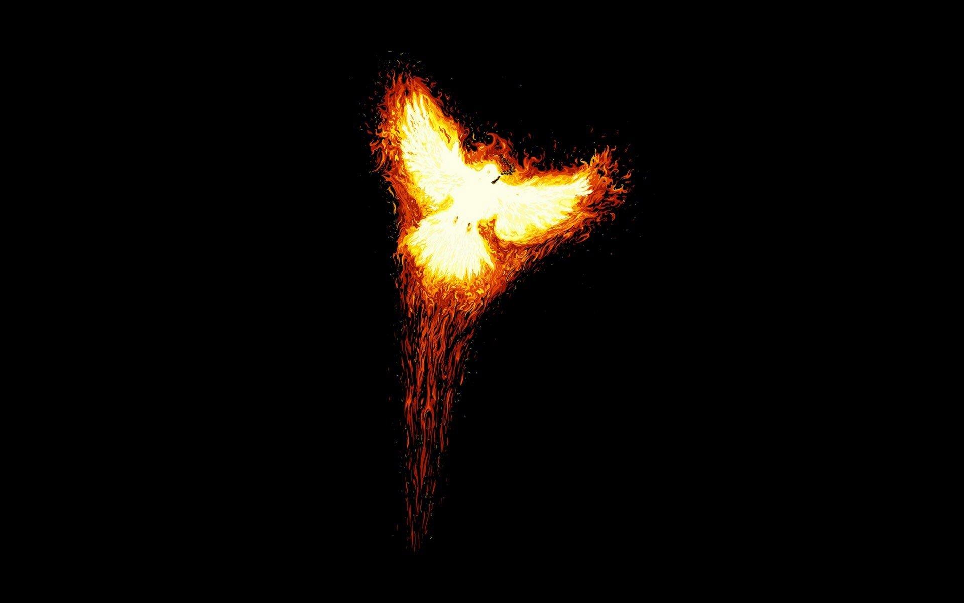 Phoenix Bird Flame Fire Abstract HD Wallpaper HD Wallpaper, HD