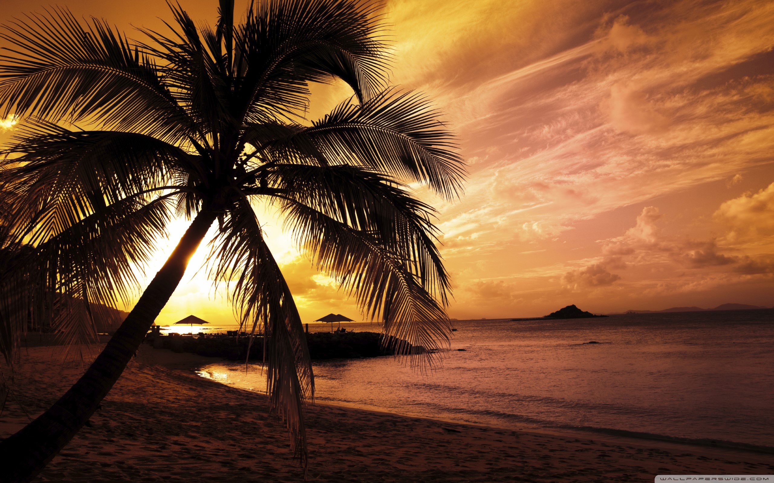 Tropical beach sunset picture Dekstop Wallpaper