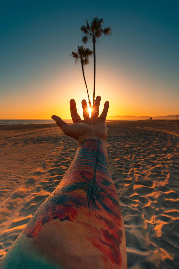 HD wallpaper: Jeff Kepler, beach, sunset, tattoo, palm trees, sand