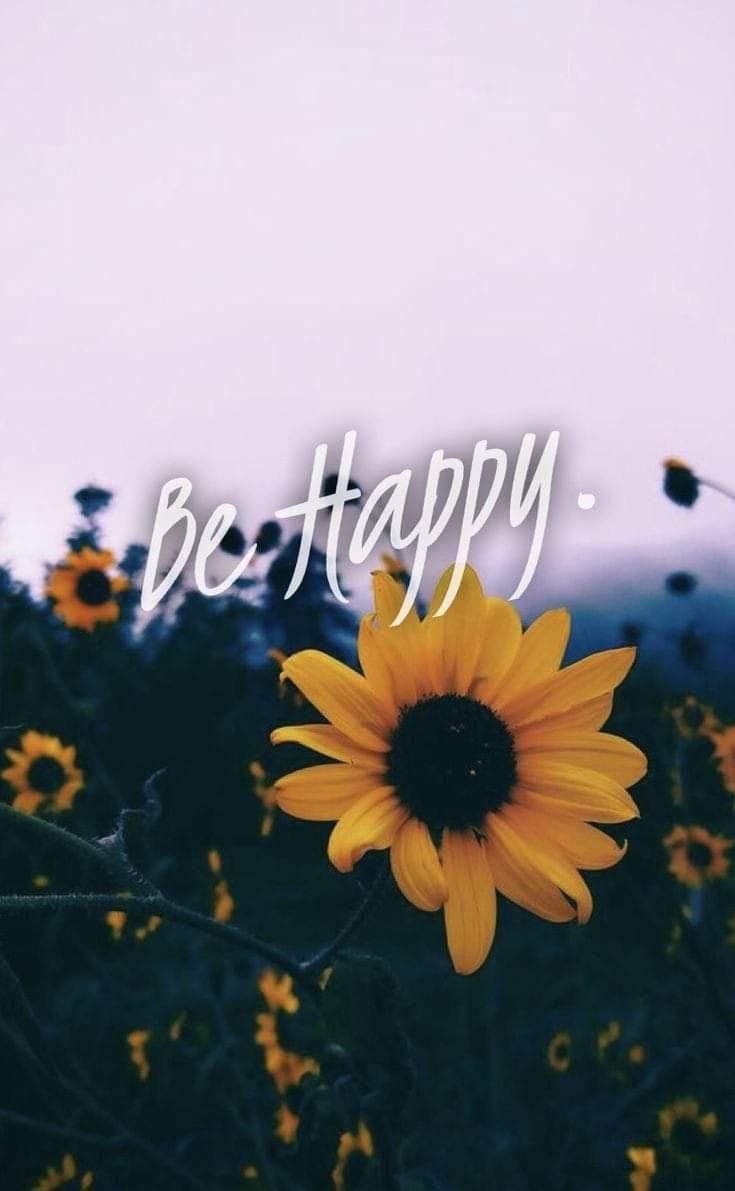 Best Sunflowers <3 image. Beautiful flowers, Flowers, Happy