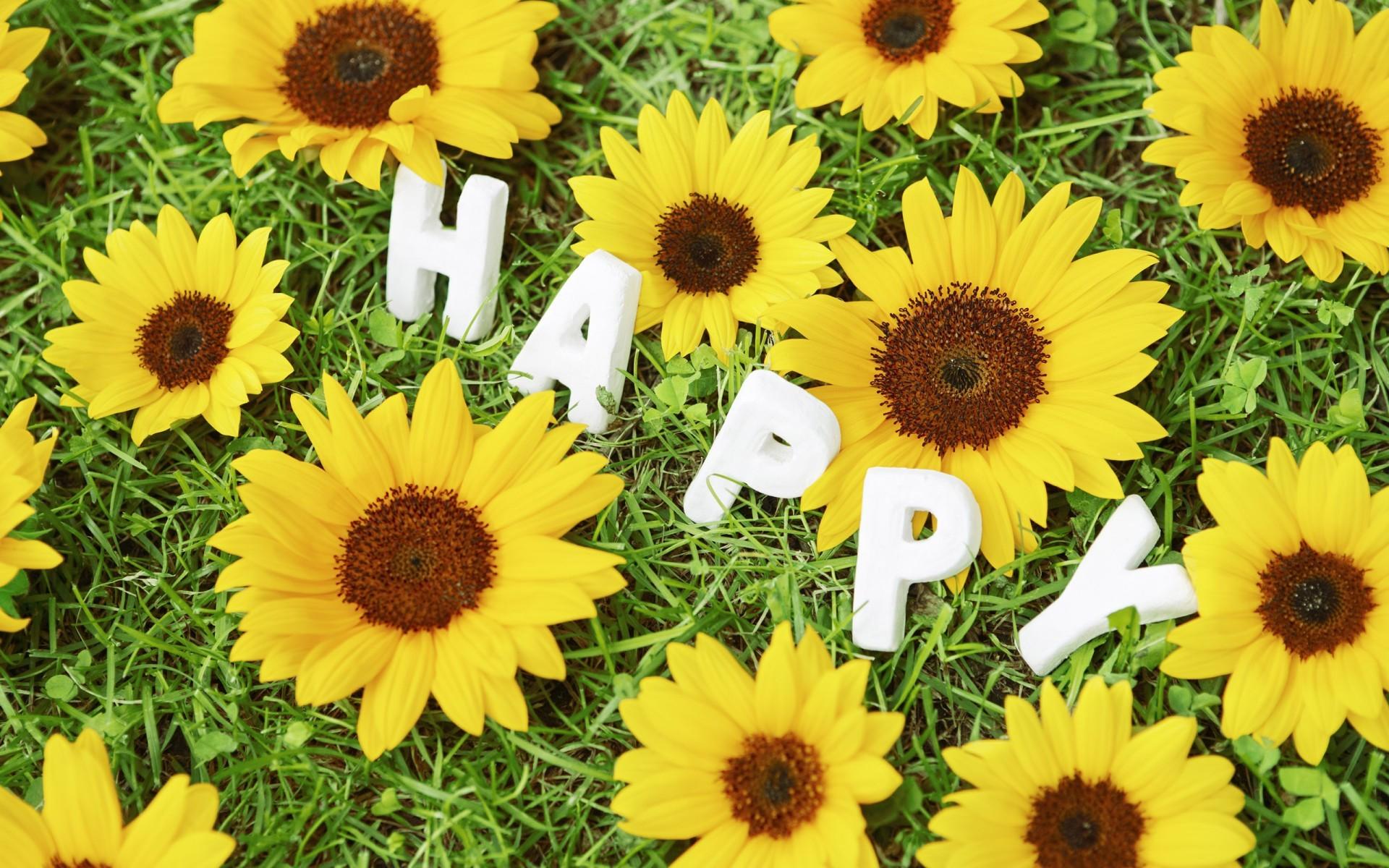 Happy Sunflowers Wallpaper Wallpaper Desktop, Download
