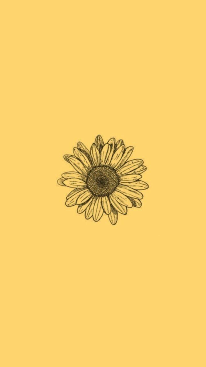 Cute Aesthetic Sunflower Wallpapers - Wallpaper Cave