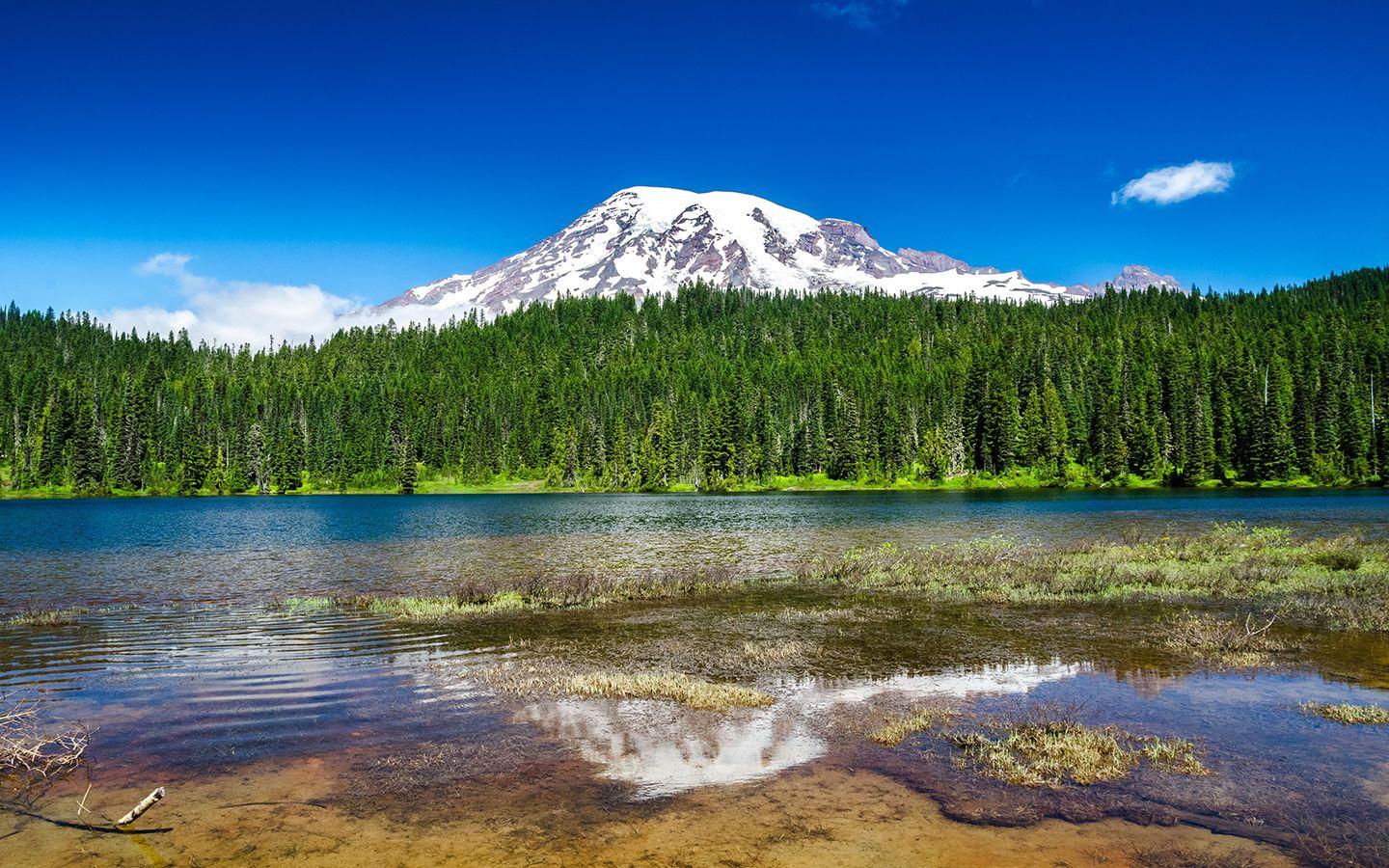 This amazing place is Mount Rainier National Park near Seattle
