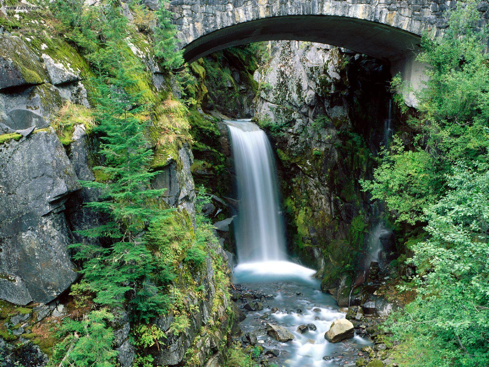 Nature: Christine Falls Mount Rainier National Park Washington