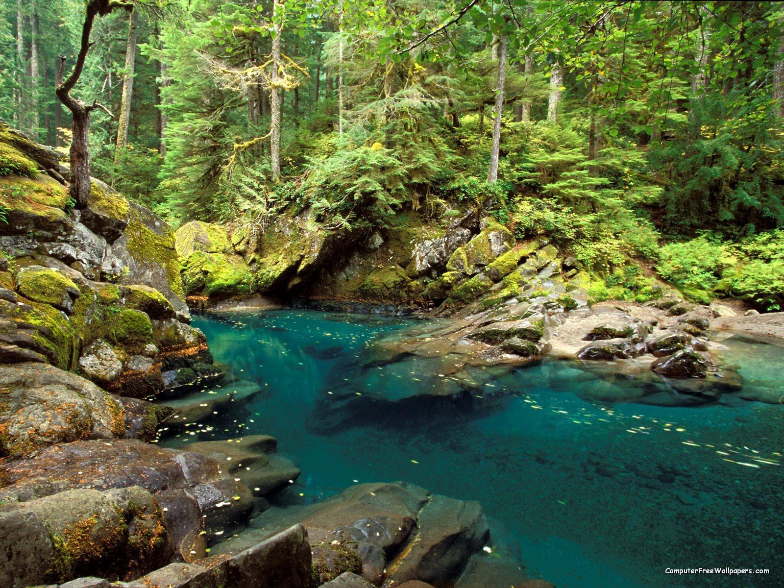 Mount Rainier National Park, Washington [1600 x 1200]
