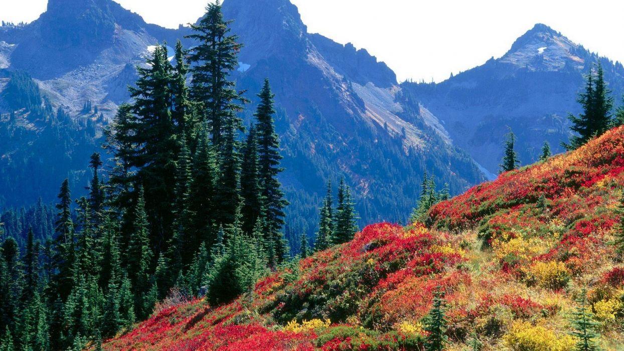 Landscapes autumn spectrum range National Park Washington Mount