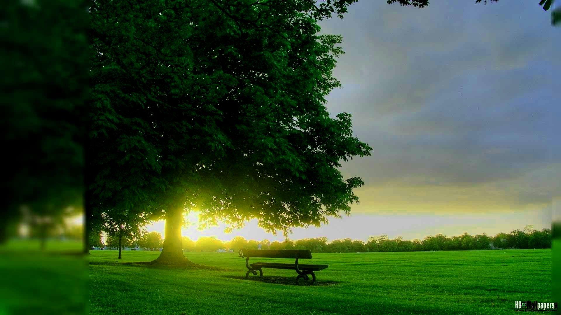 Hd Wallpaper Download For Android Mobile 1080p Wallpaper