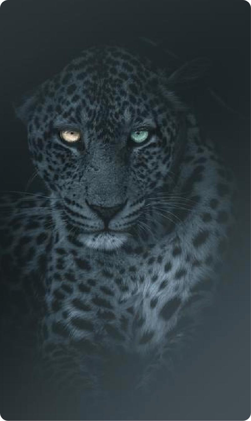 Wallpaper. Visuals of Earth