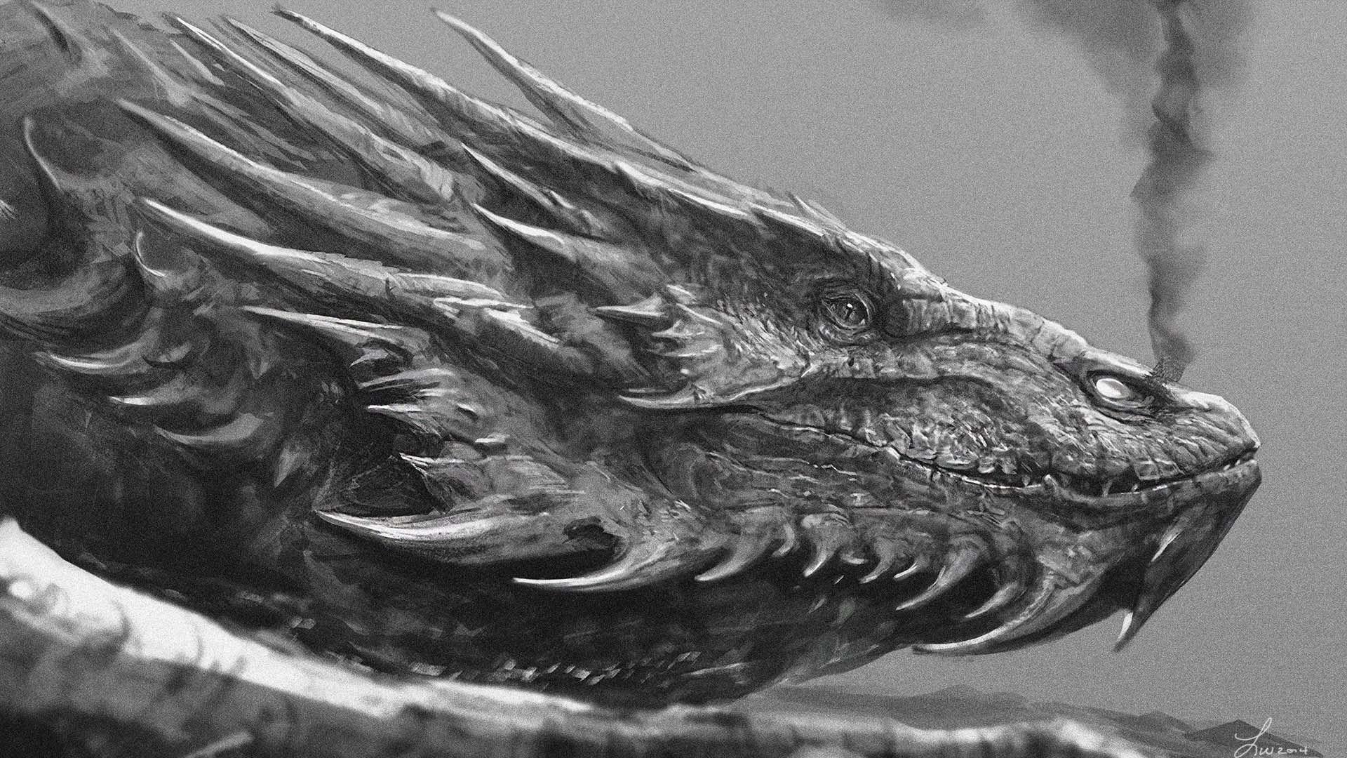Lotr Smaug Wallpaper
