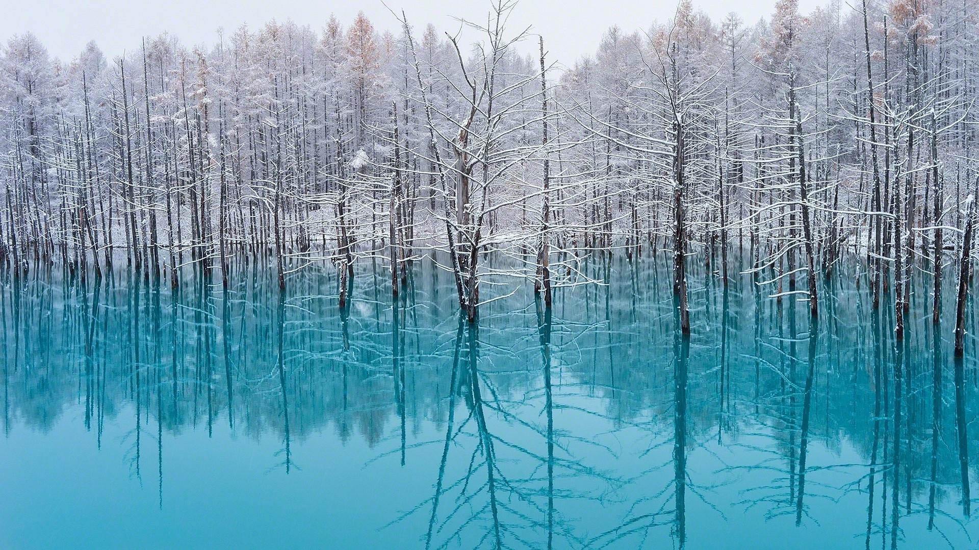 Lake, Trees, Nature, Turquoise, Water, Snow, Reflection, Nature Winter Wallpaper & Background Download