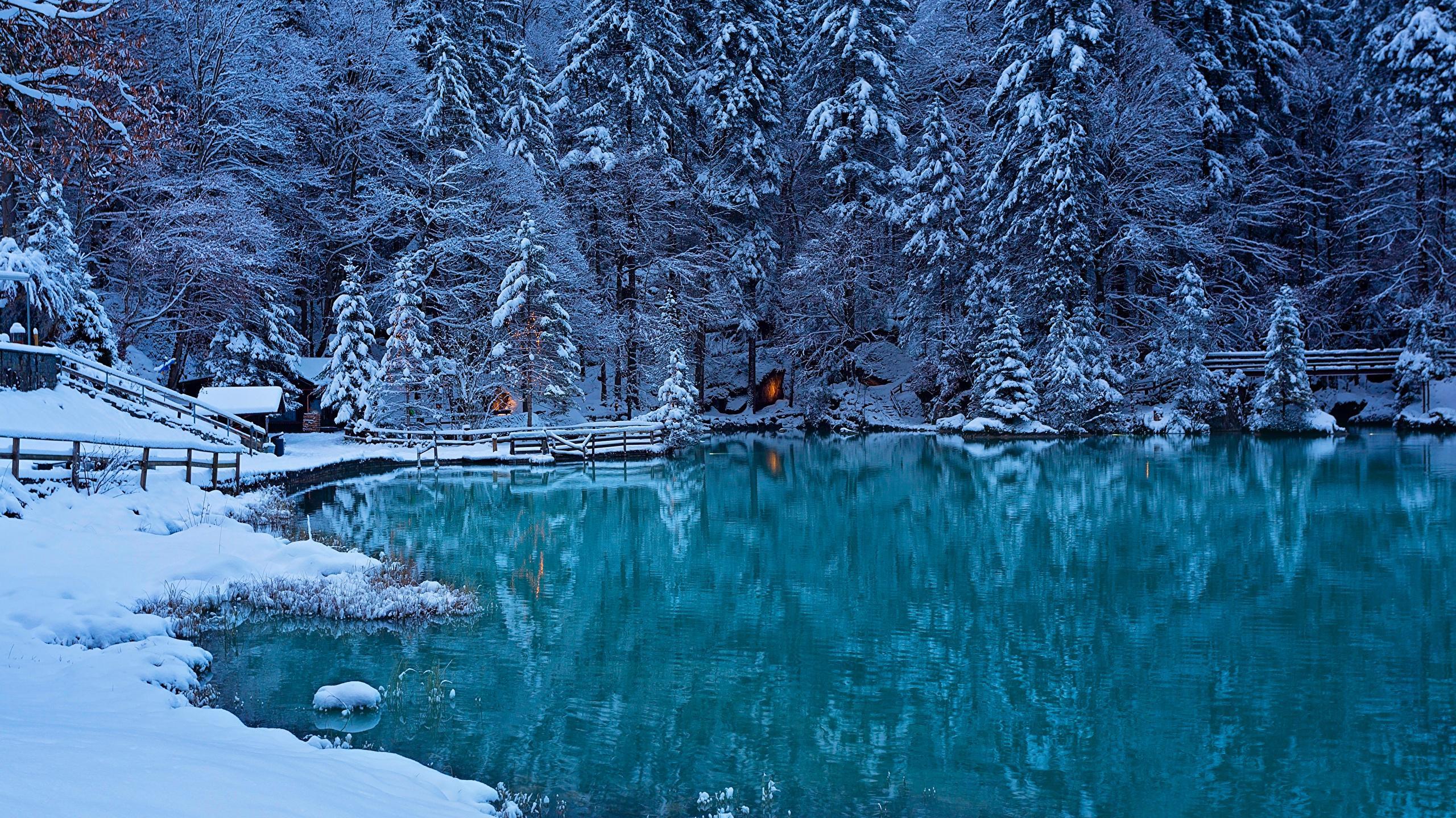 Desktop Wallpaper Switzerland Kander Valley Nature Spruce 2560x1440
