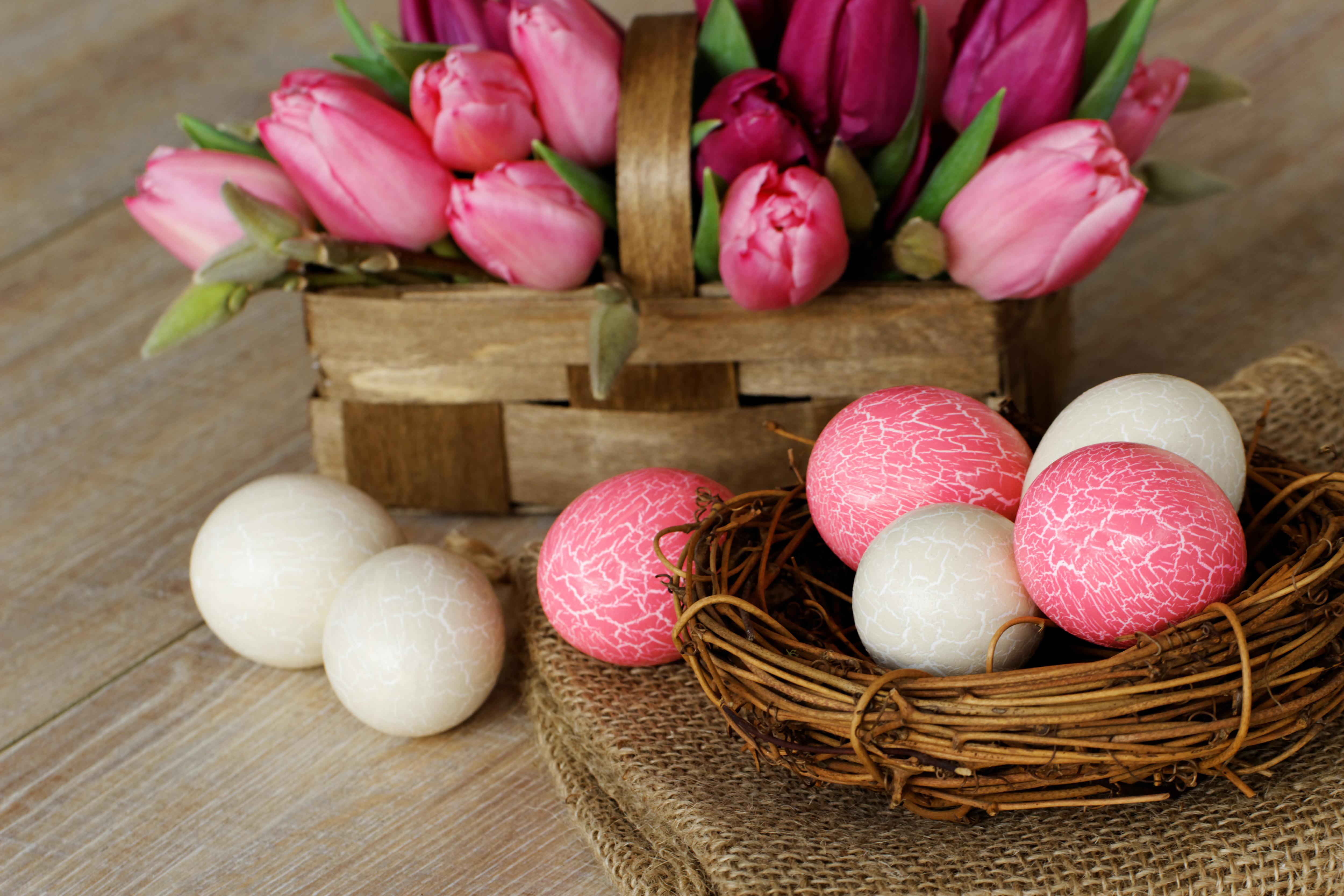 Easter Background With Tulips Basket Quality Image And Transparent PNG Free Clipart