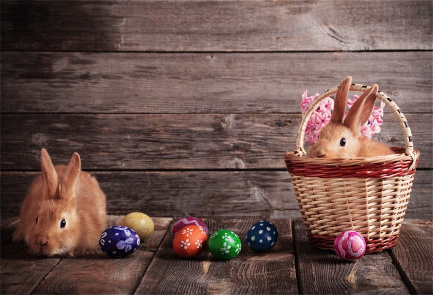Amazon.com, CSFOTO 6x4ft Background for Rabbit Easter on Rustic