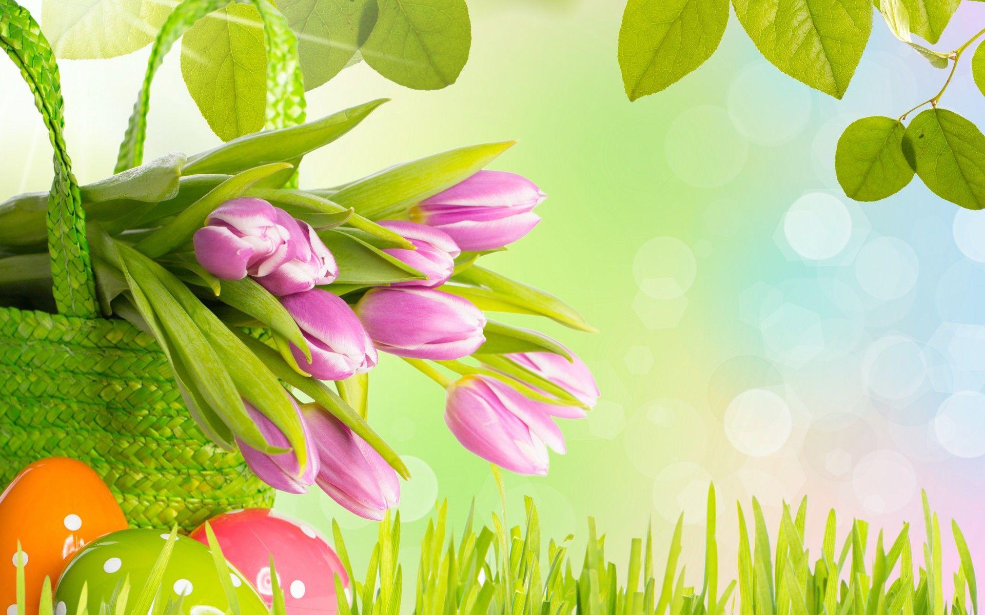 Easter Tulips Wide Desktop Background wallpaper free. Easter wallpaper, Spring wallpaper, Happy easter wallpaper