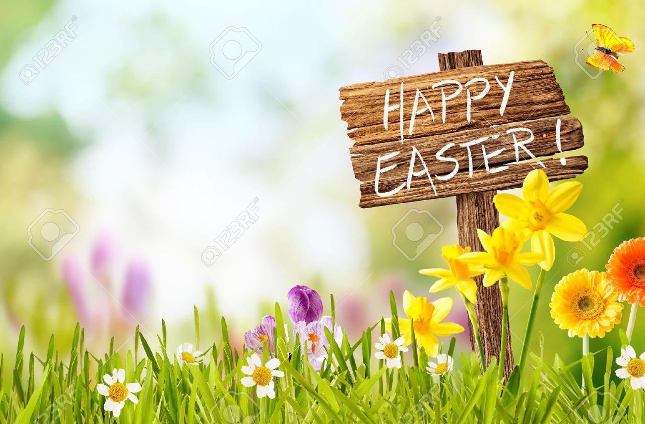 Free download Joyful Colorful Spring Background For A Happy Easter