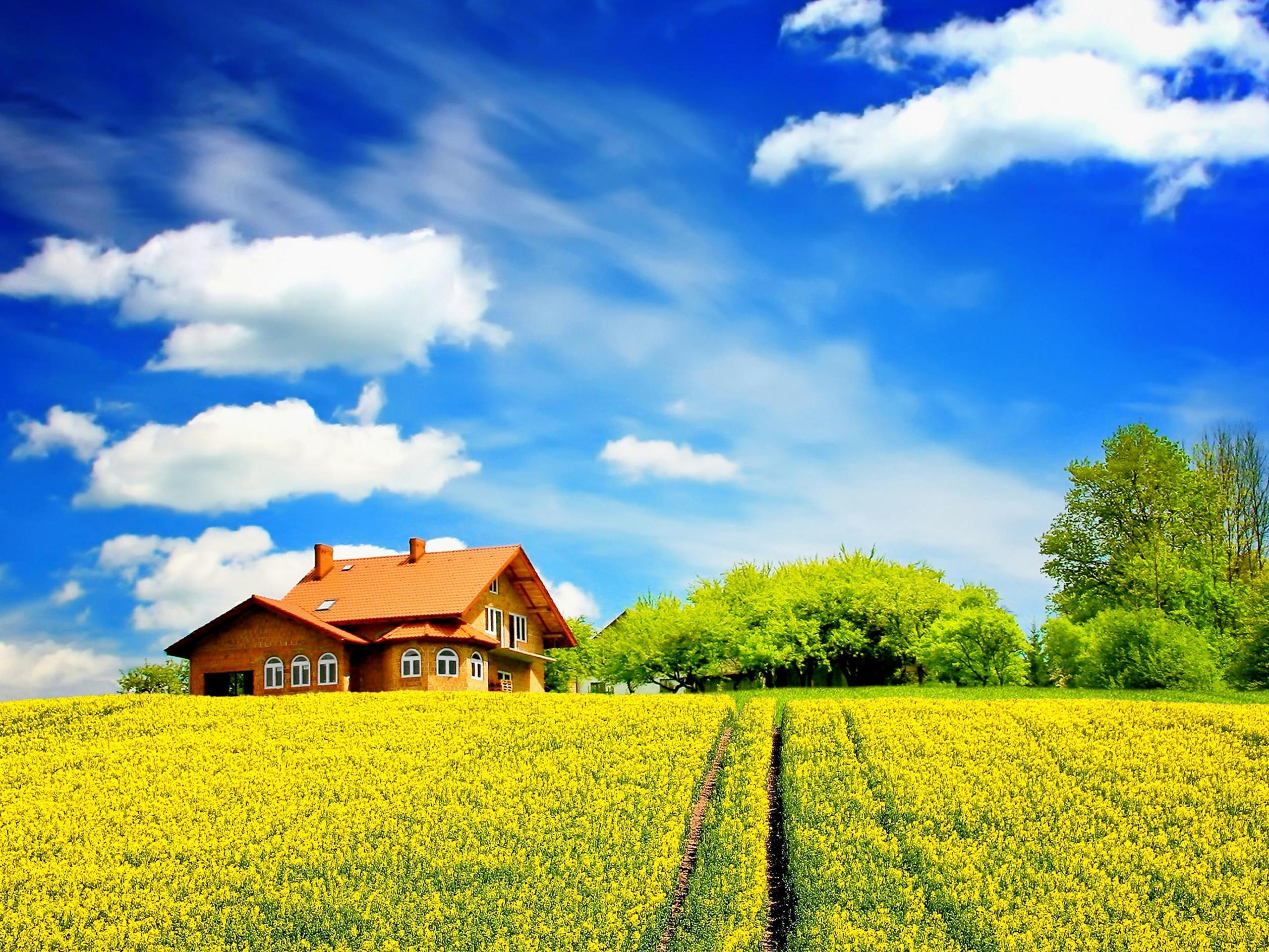 Sunny Spring Day Wallpapers Wallpaper Cave