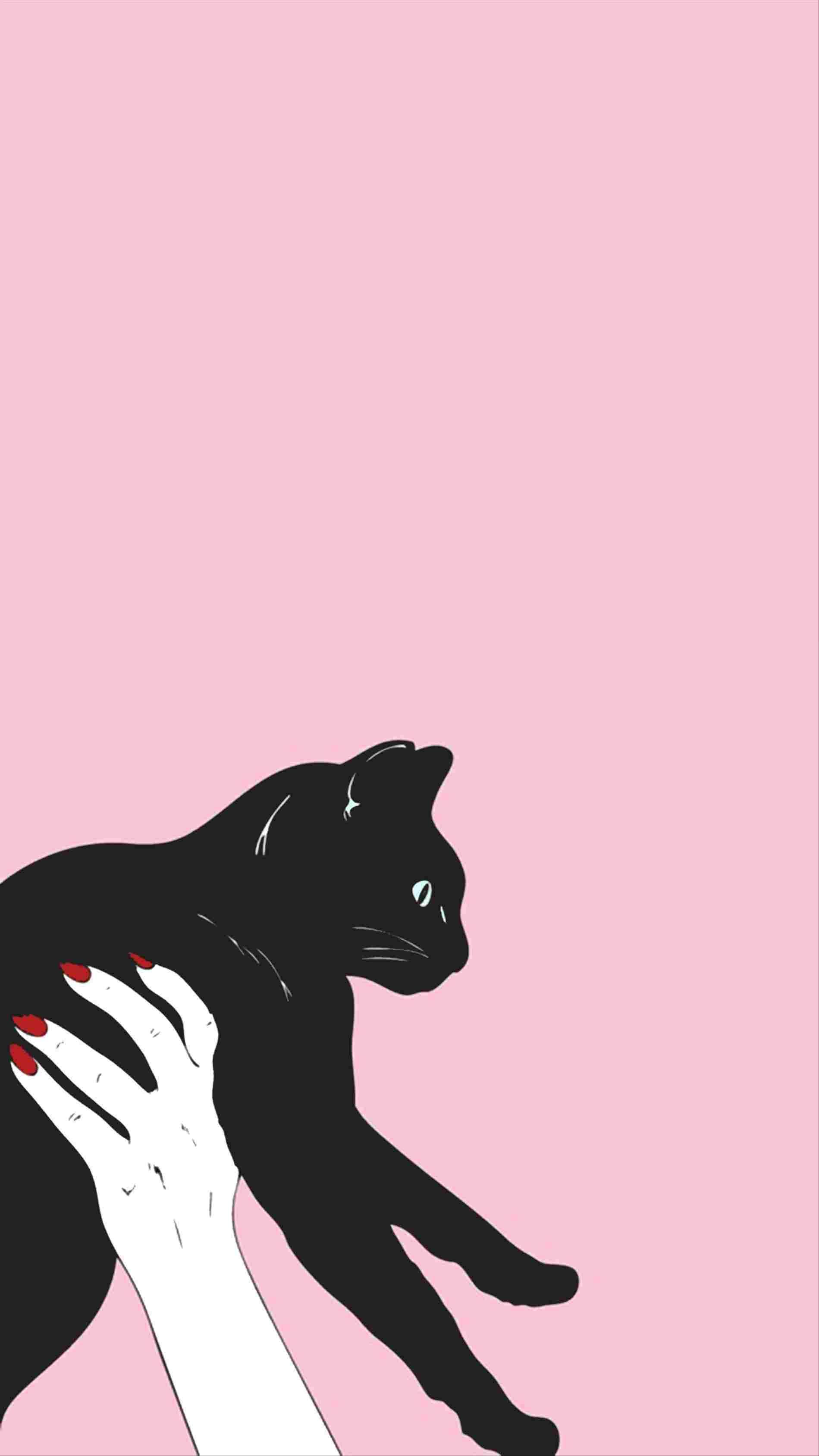 Aesthetic Minimalist Cat Wallpaper Cat Wallpaper