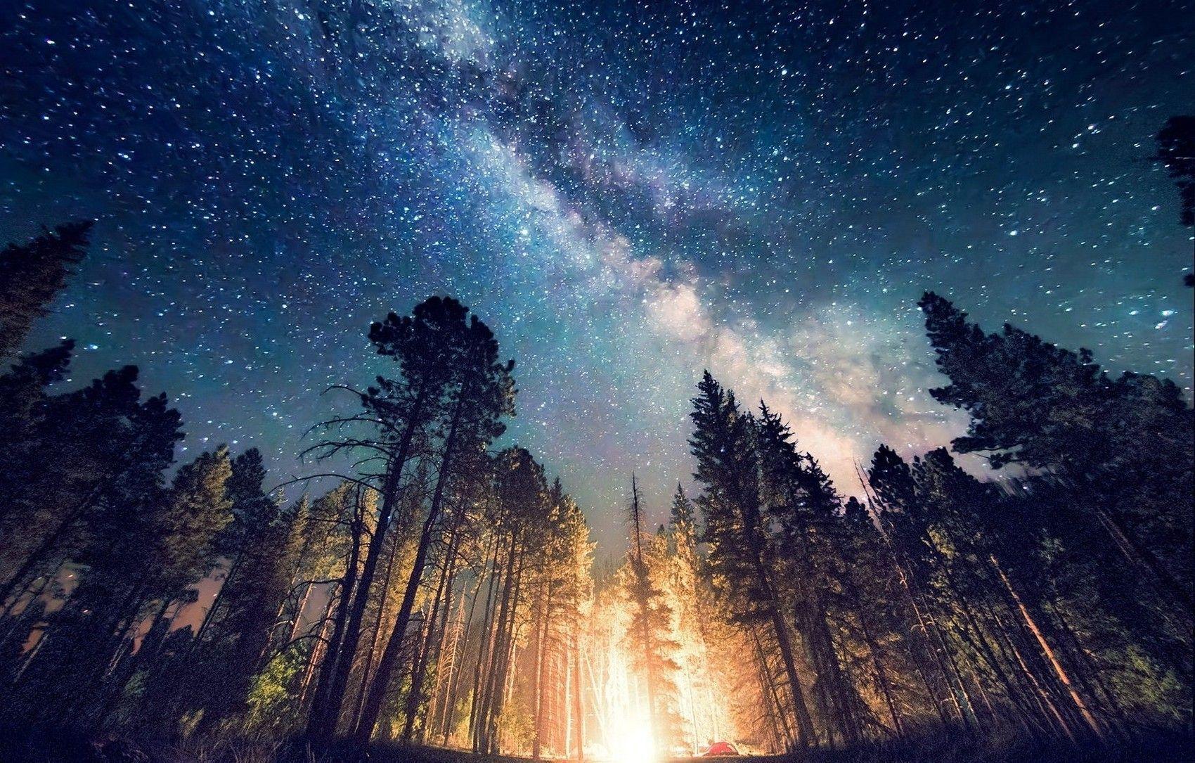 Galaxy Forest Wallpaper Free Galaxy Forest Background