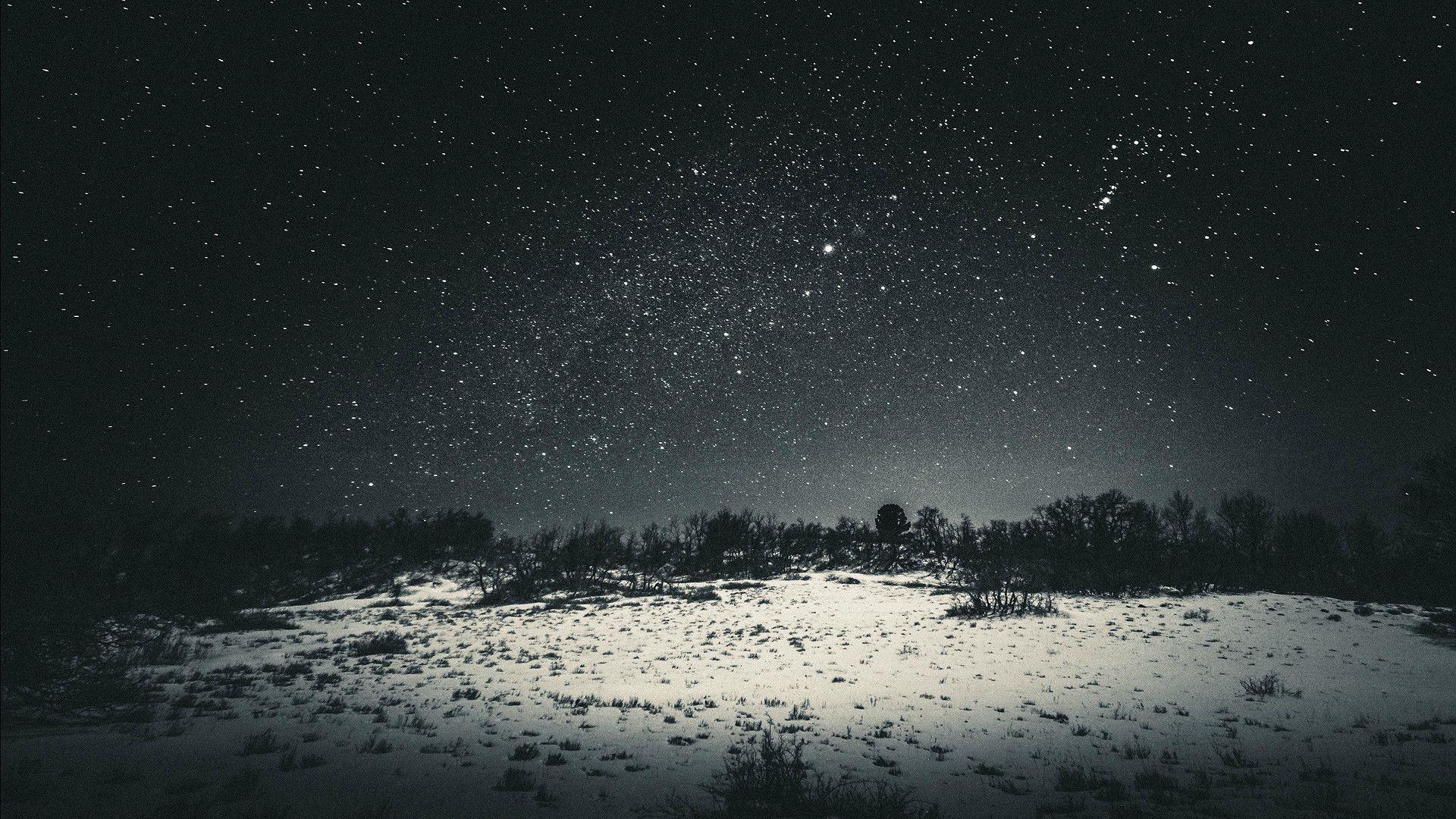 #stars, #dark, #forest clearing, #night, #snow, #star