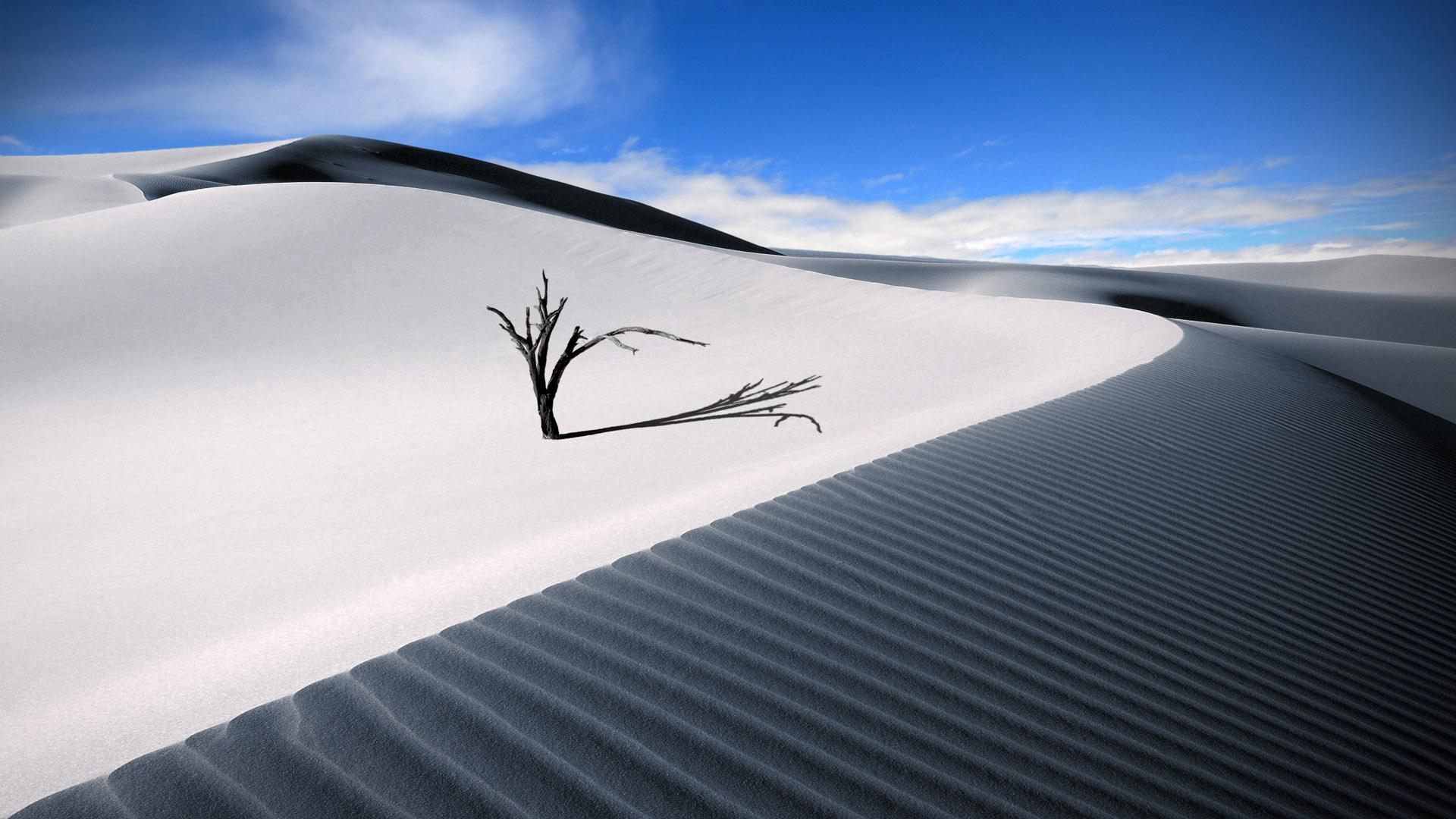 Download 1920x1080 White Sand Dune Wallpapers