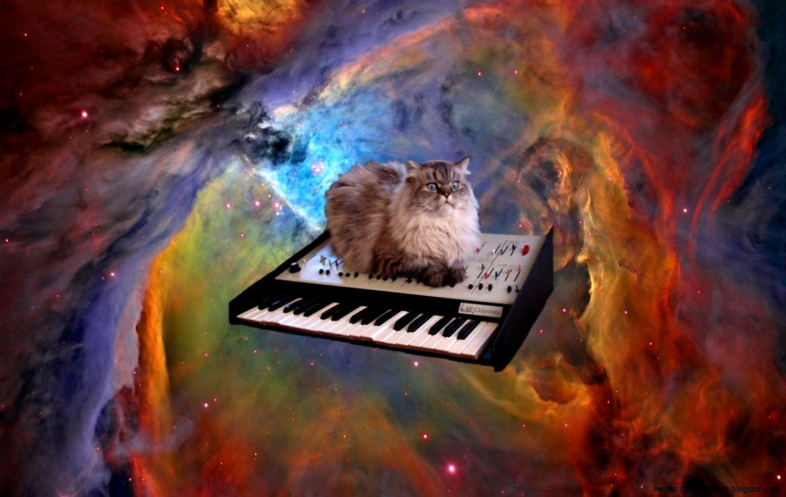 Space Cat Background