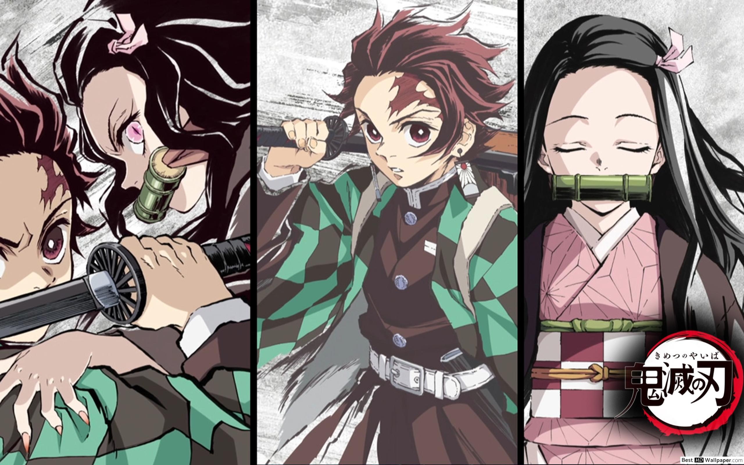 This wallpaper is about Kimetsu no Yaiba wallpaper, Nezuko, Tanjiro Kamado,  Kamado Tanjirō, Kamado Nezuko, Download H…