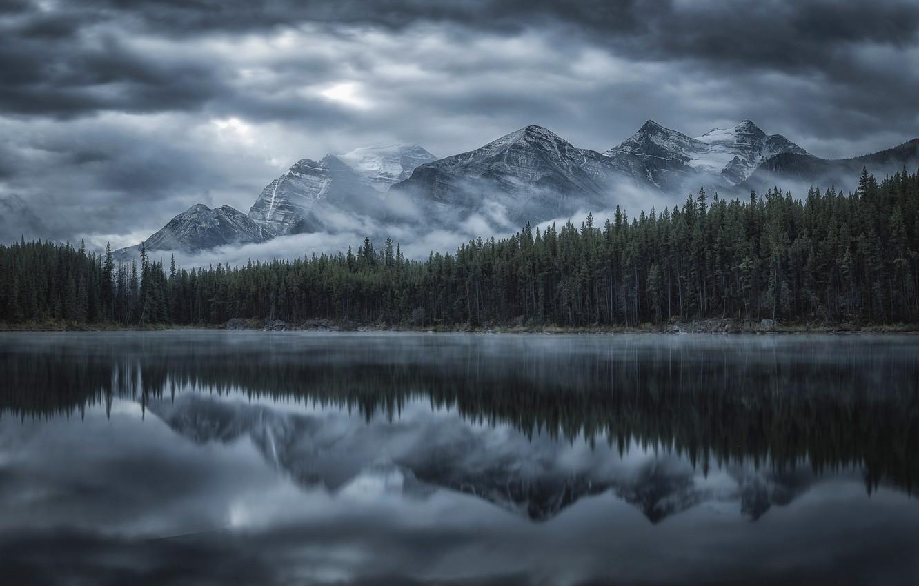 Wallpaper forest, mountains, lake, reflection, Canada, Albert