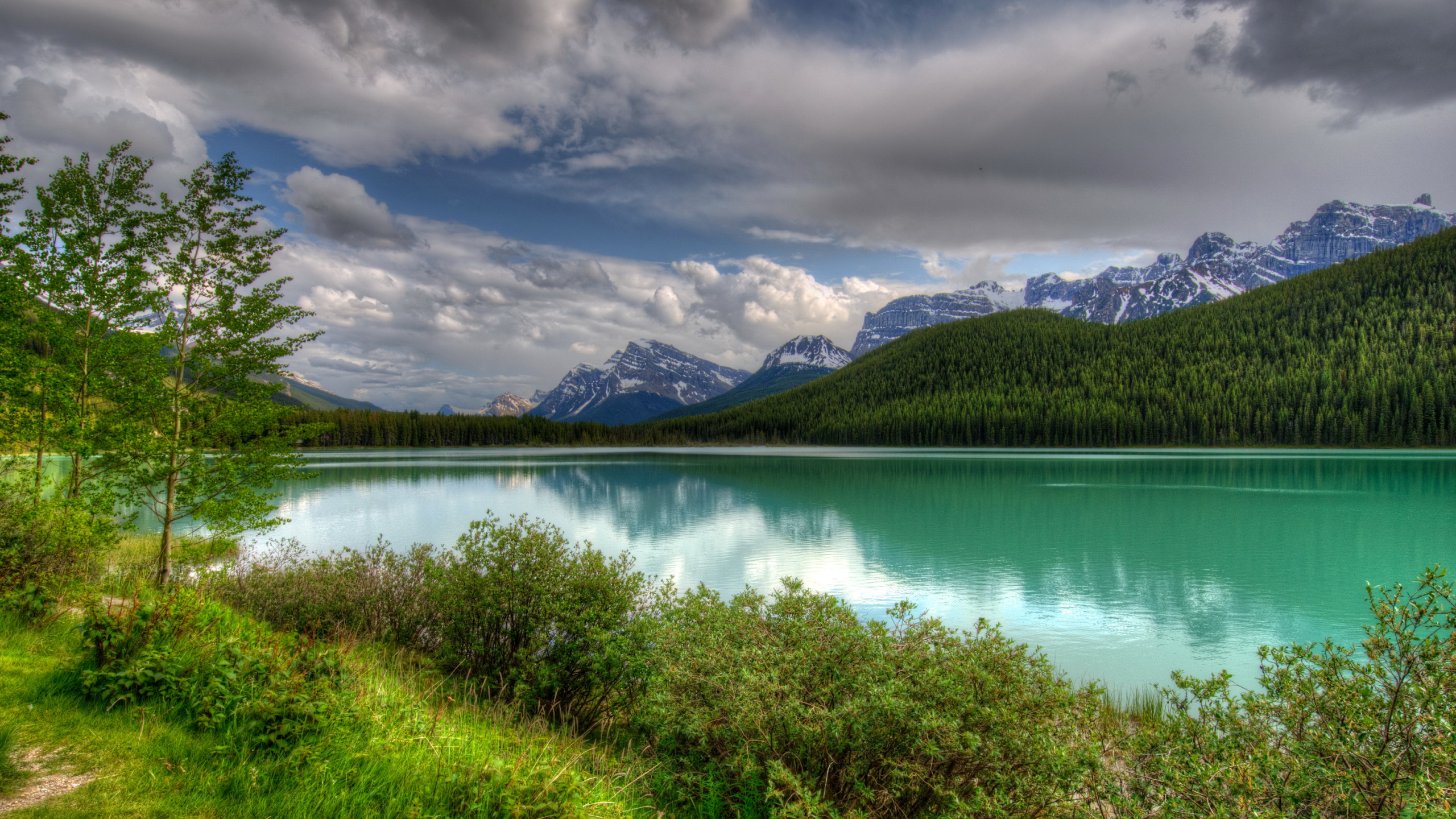Peyto Lake, Banff, Parks Canada, Highland, Tarn Wallpaper