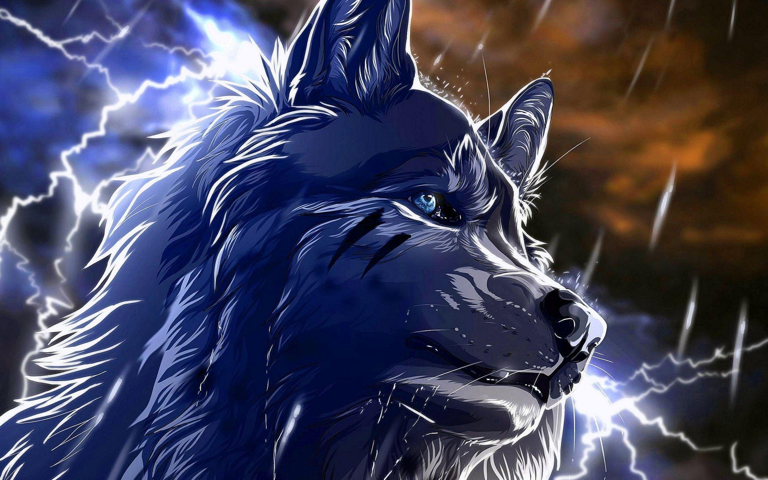 Alpha The Blue Wolf  Welcome to Fluffy Furry Pets Adoption  Quotev