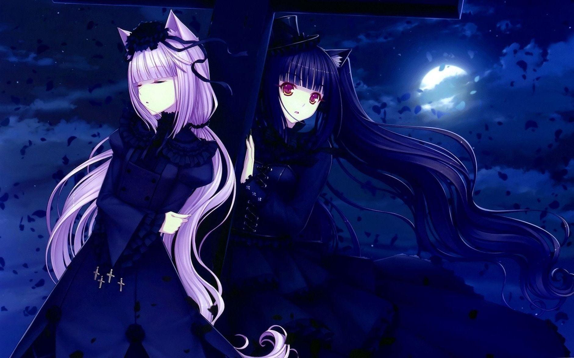 Anime Wolf Girls Wallpapers Wallpaper Cave