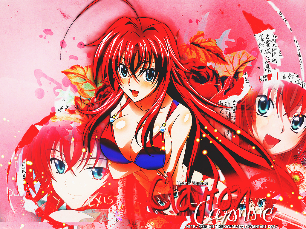 Rias Gremory Gremory Wallpaper