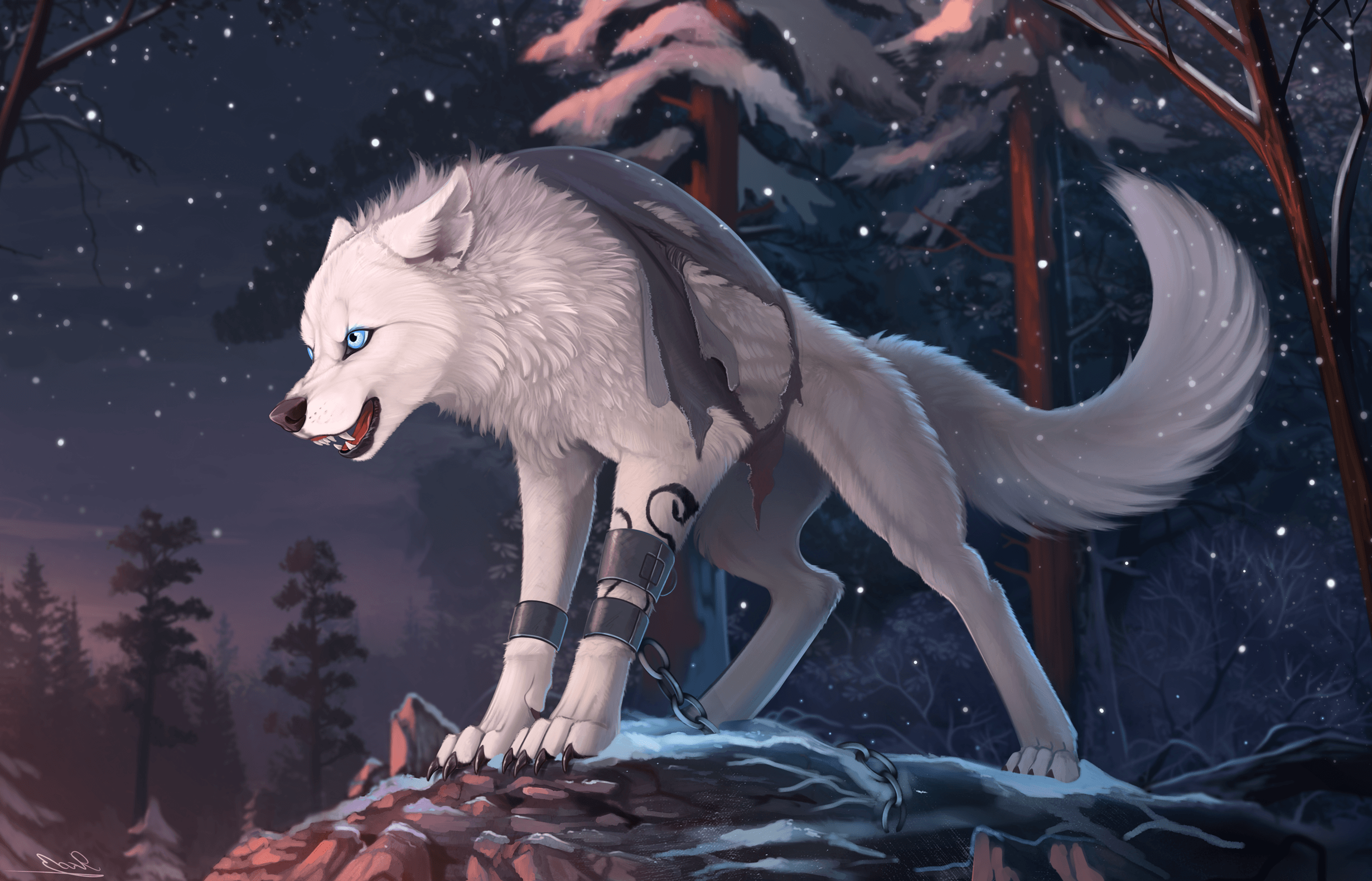 Boy Anime Wolf Wallpapers - Wallpaper Cave