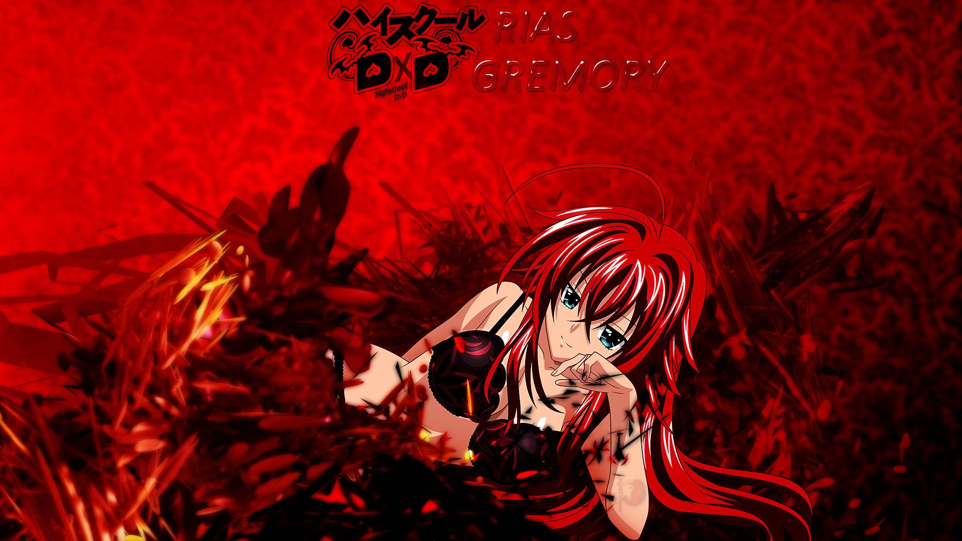 Rias Gremory Sunny ( Cat) Wallpaper